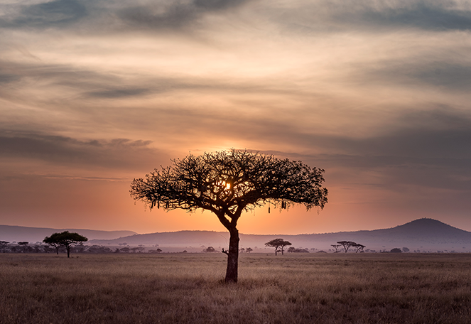 África do Sul: uma das experiências de viagem que mais amei