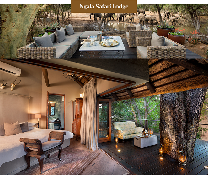 África do Sul: uma das experiências de viagem que mais amei