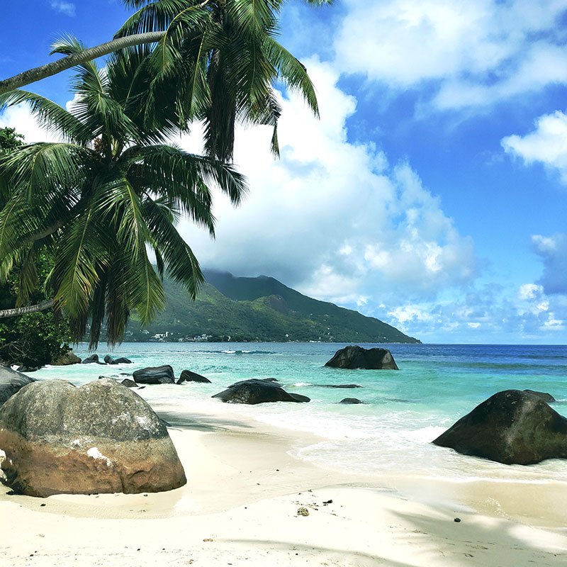 Monet® Travel Artists