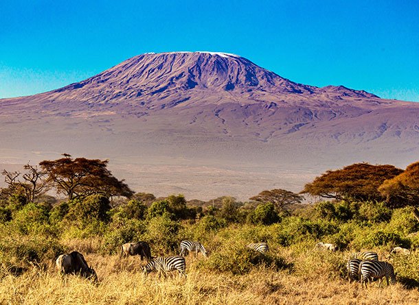 Monet® Travel Artists