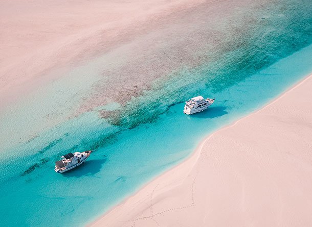 Monet® Travel Artists