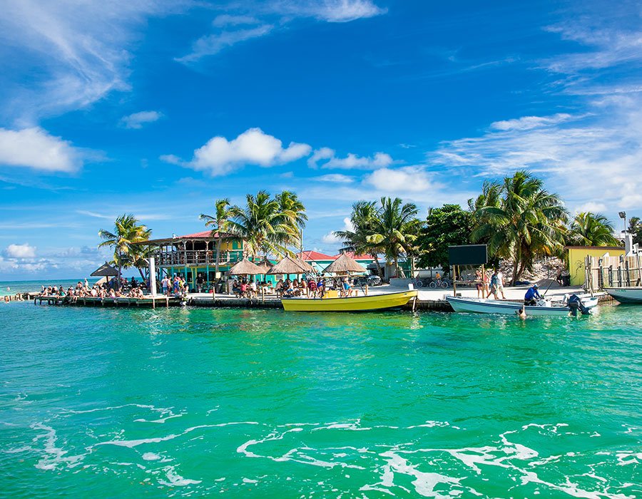 Monet® Travel Artists