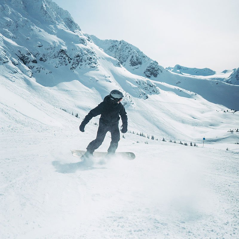 Monet® Travel Artists