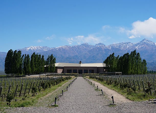 Monet® Travel Artists