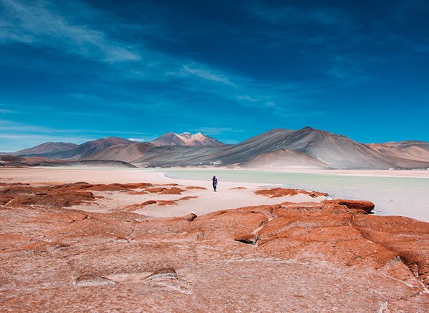 Monet® Travel Artists