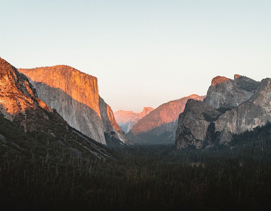 Monet® Travel Artists