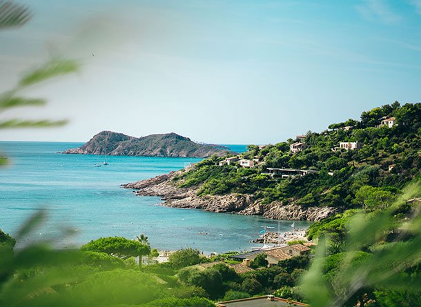 Monet® Travel Artists