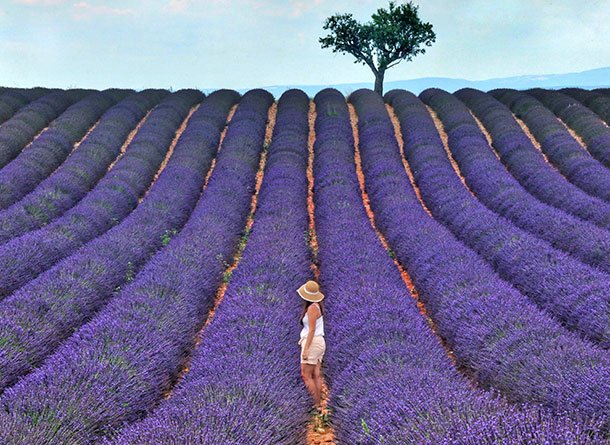 Monet® Travel Artists