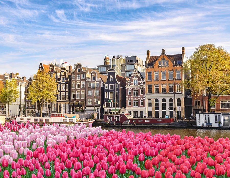 Monet® Travel Artists