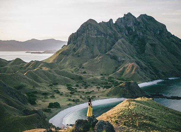 Monet® Travel Artists