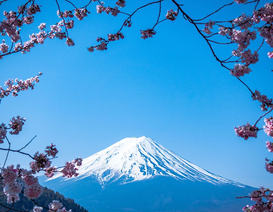 Monet® Travel Artists