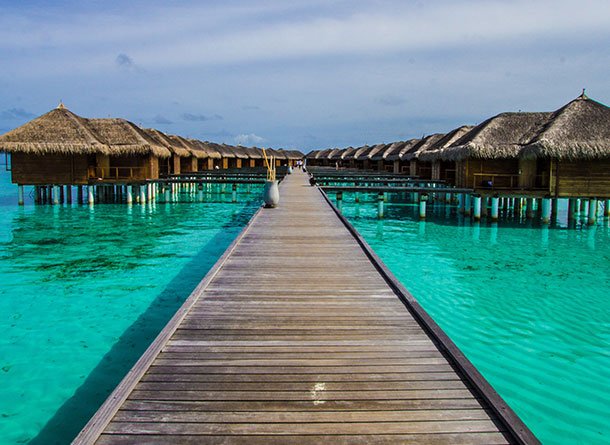 Monet® Travel Artists