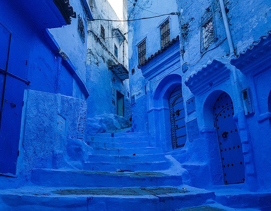 Monet® Travel Artists