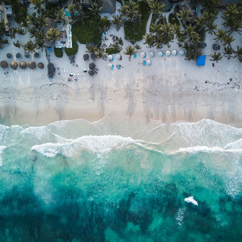 Monet® Travel Artists