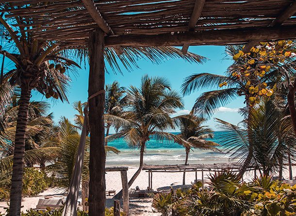 Monet® Travel Artists