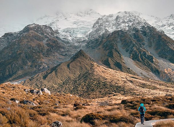 Monet® Travel Artists