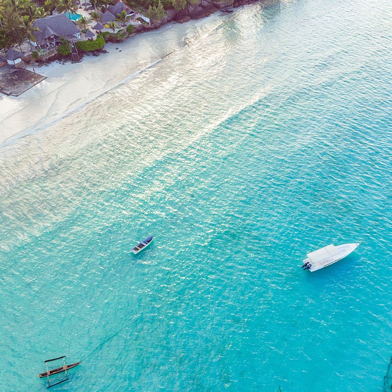 Monet® Travel Artists