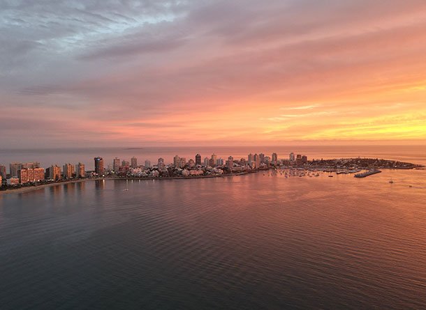 Monet® Travel Artists